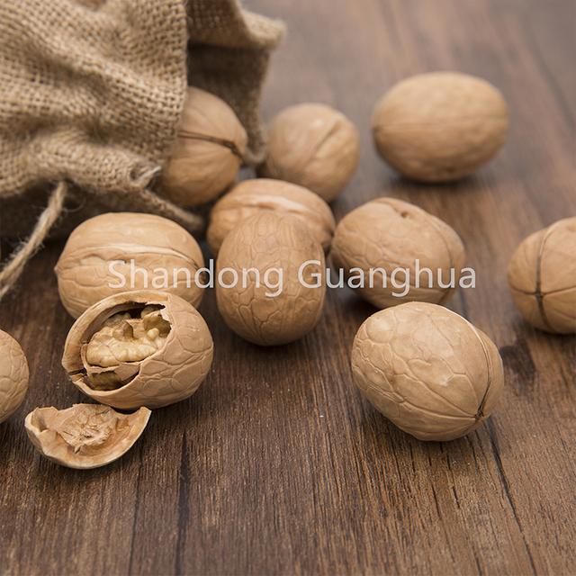 Natural Walnut In Shell From China