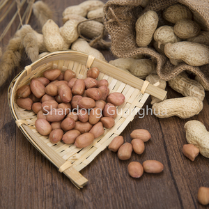 China Origin New Crop Peanut Kernels Round Type 