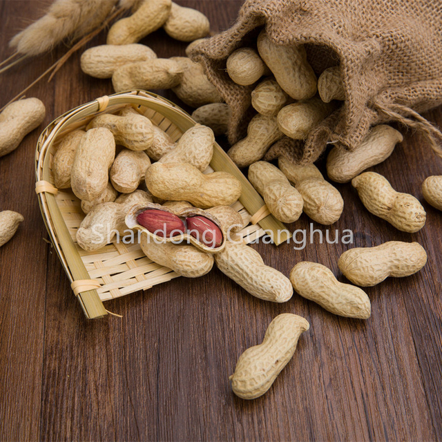 China Washed Peanut In Shell New Crop