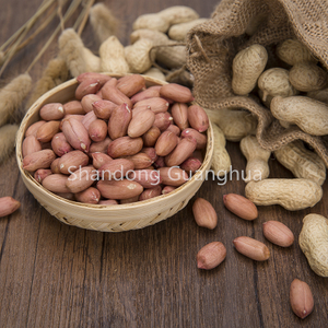 New Crop Peanut Kernels Long Type From China