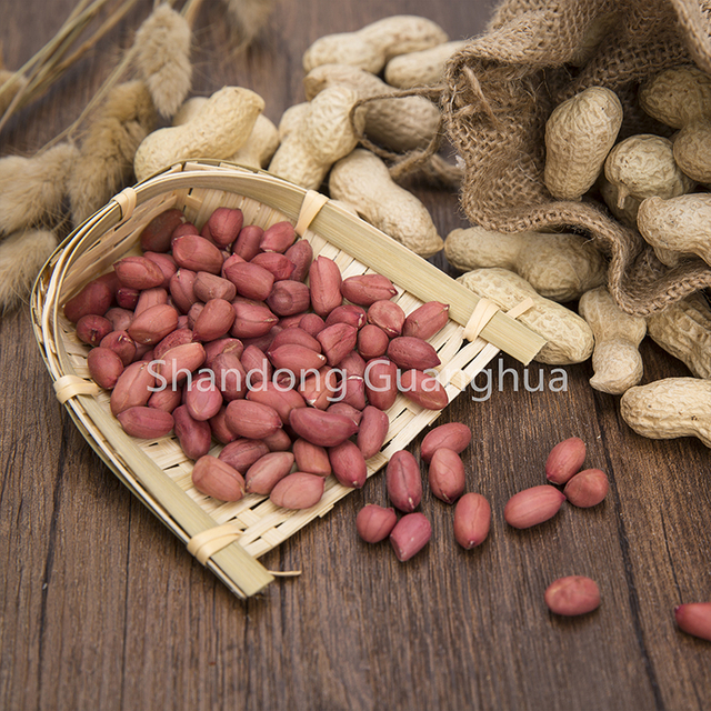 New Crop Red Skin Peanut Kernels From China
