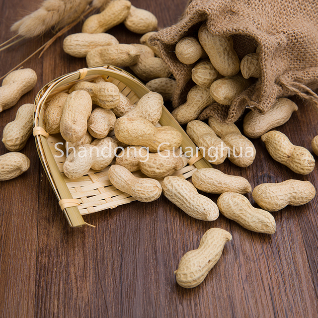 BEST QUALITY ROASTED PEANUT IN SHELL BULK PRICE