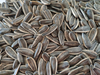 Hot Sale Sunflower Seeds From China