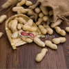 China Washed Peanut In Shell New Crop