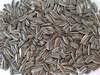 Hot Sale Sunflower Seeds From China