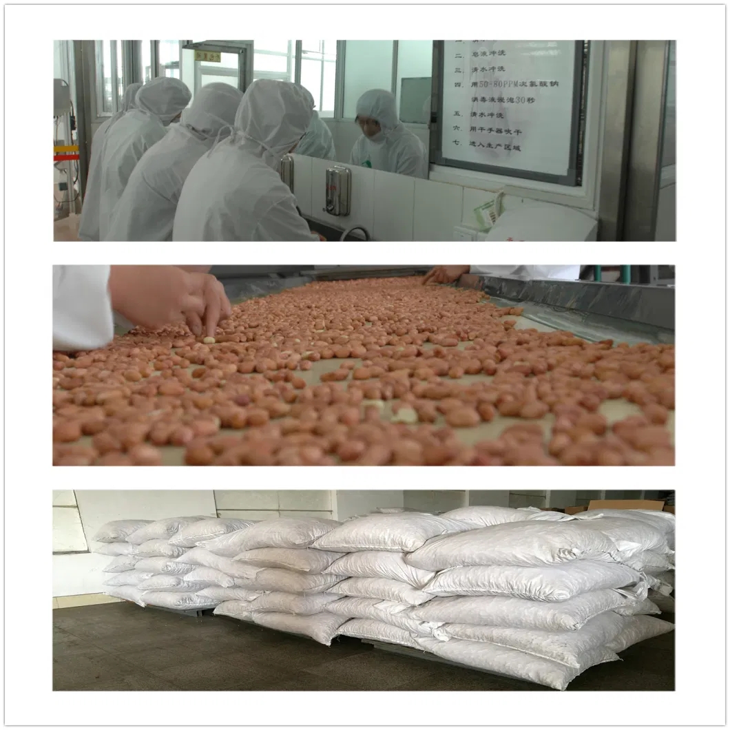 Hot-Sale-Blanched-Peanut-Kernels-From-Shandong-China.webp (2)