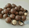 Roasted Macadamia Nuts Milky Flavor