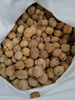 China Origin Walnut Crop 2023