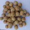 China Origin Walnut Crop 2023