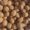 China Origin Walnut Crop 2023