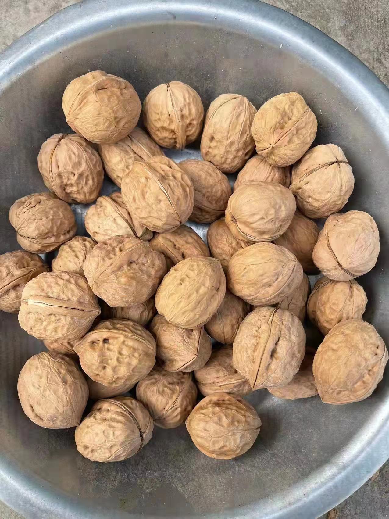 Xinfeng walnut