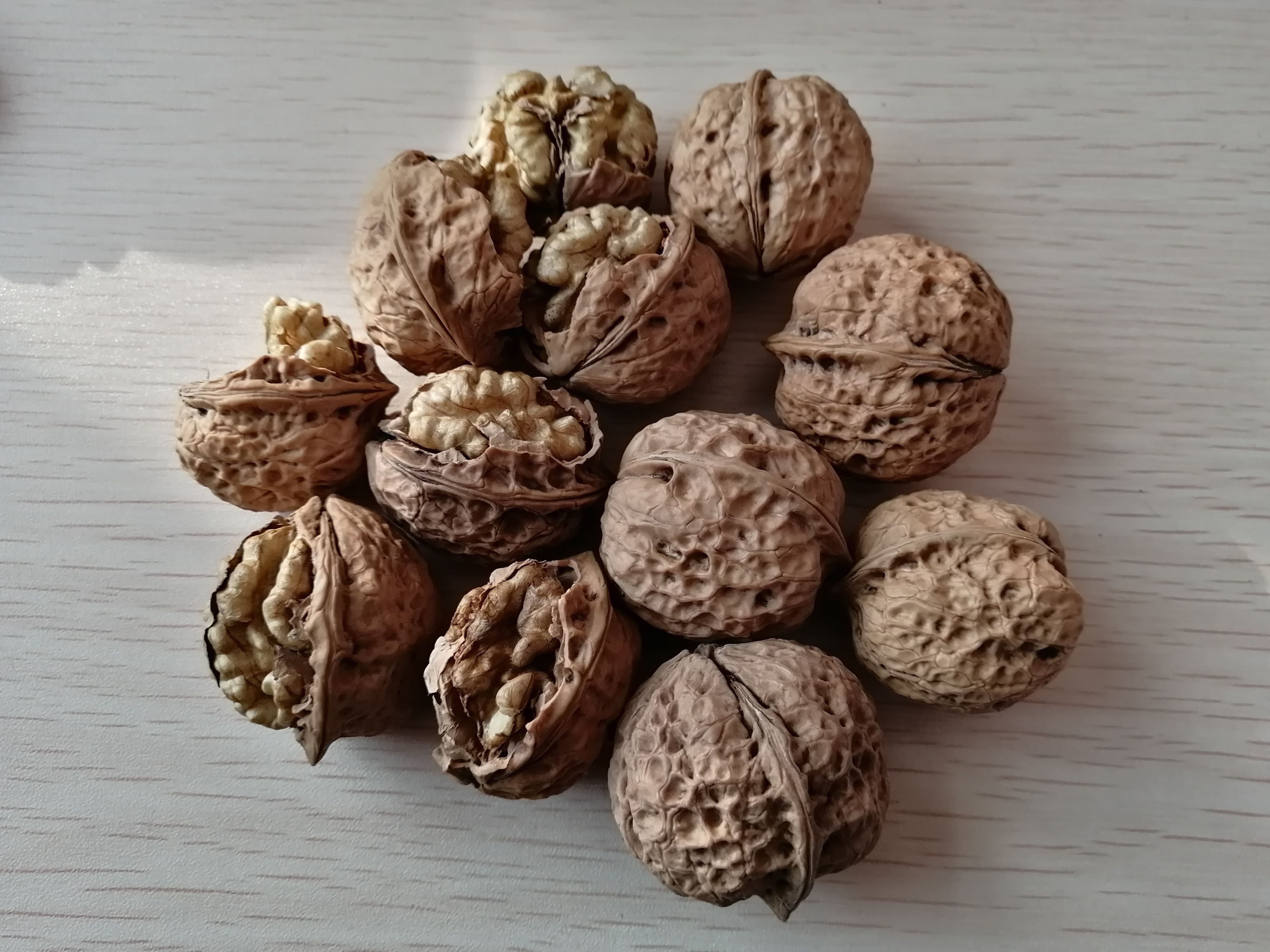 YUNNAN WALNUT