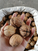 China Origin Walnut Crop 2023